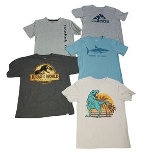 Bundle Of 5 Boys Cotton Tees Size 14/16/XL